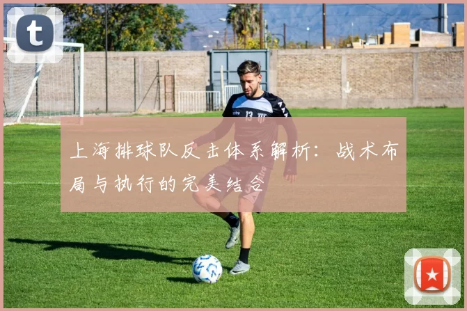 上海排球队反击体系解析：战术布局与执行的完美结合