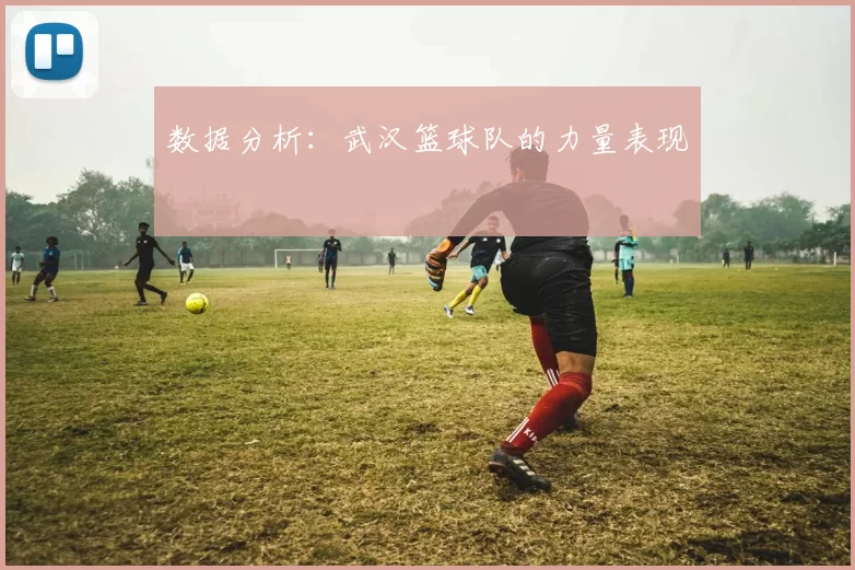 数据分析：武汉篮球队的力量表现