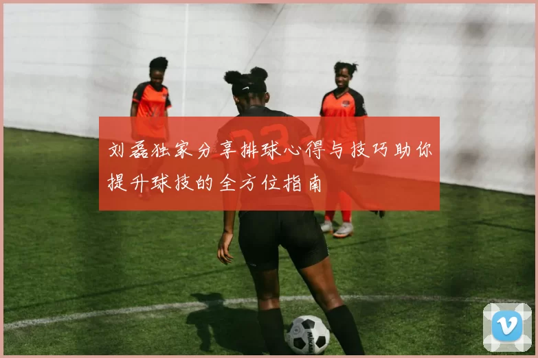 刘磊独家分享排球心得与技巧助你提升球技的全方位指南
